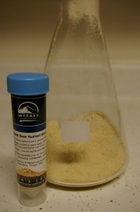 DME and nutrient in the flask DME and nutrient in the flask