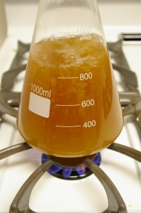 boiling starter wort boiling starter wort