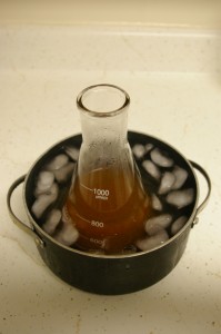 cooling starter wort cooling starter wort