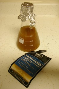 added propagor yeast added propagor yeast