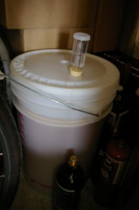 anchor steam clone primary fermentation anchor steam clone primary fermentation