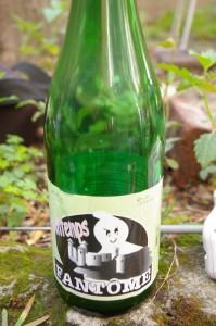 fantome printemps bottle fantome printemps bottle