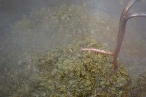 sweet wort no more! sweet wort no more!