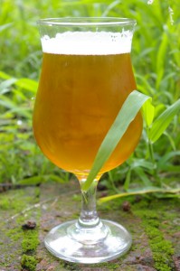 sculpin IPA sculpin IPA
