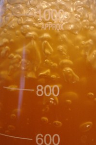 closeup of the starter boil
