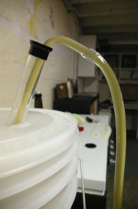 kegging the IPA