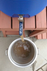 the mash runoff for the pils