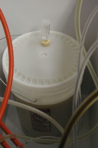 the bo pils in the keezer
