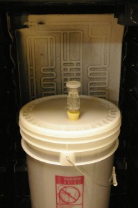 the lager