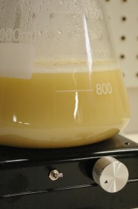 the wild slurry