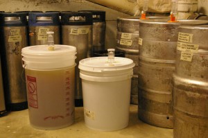 the current fermentation room lineup