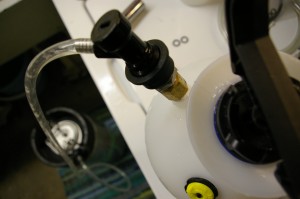 beer line cleaner