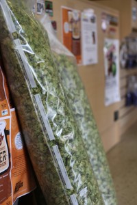 fresh local cascades