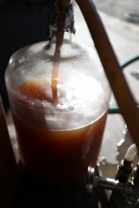 the wort