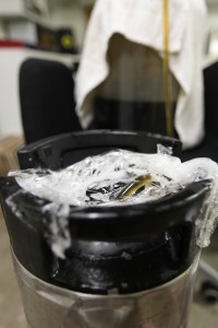 kegging