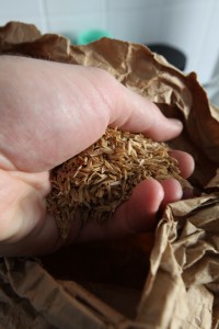 adding the rice hulls
